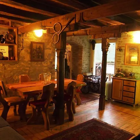 Hostel Hedonist