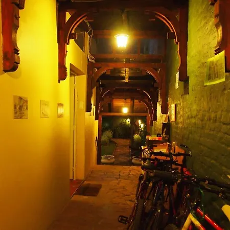 Hedonist Hostel